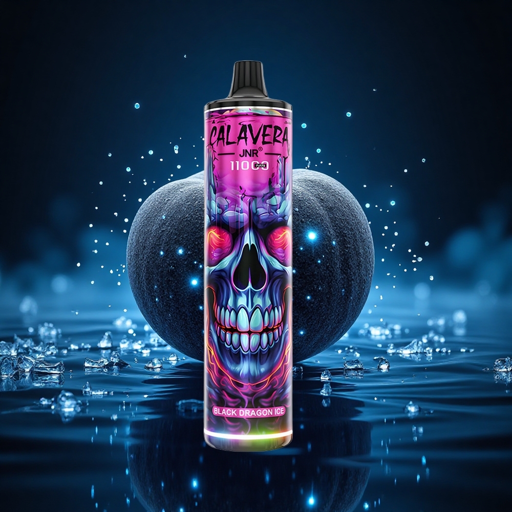 JNR Calavera 11000 Dragón Negro Hielo con Carga Tipo-C y Batería 850 mAh
