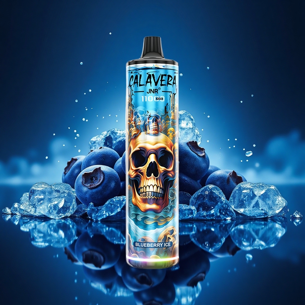 JNR Calavera 11000 Helado de Arándano con Tipo-C y 21ml
