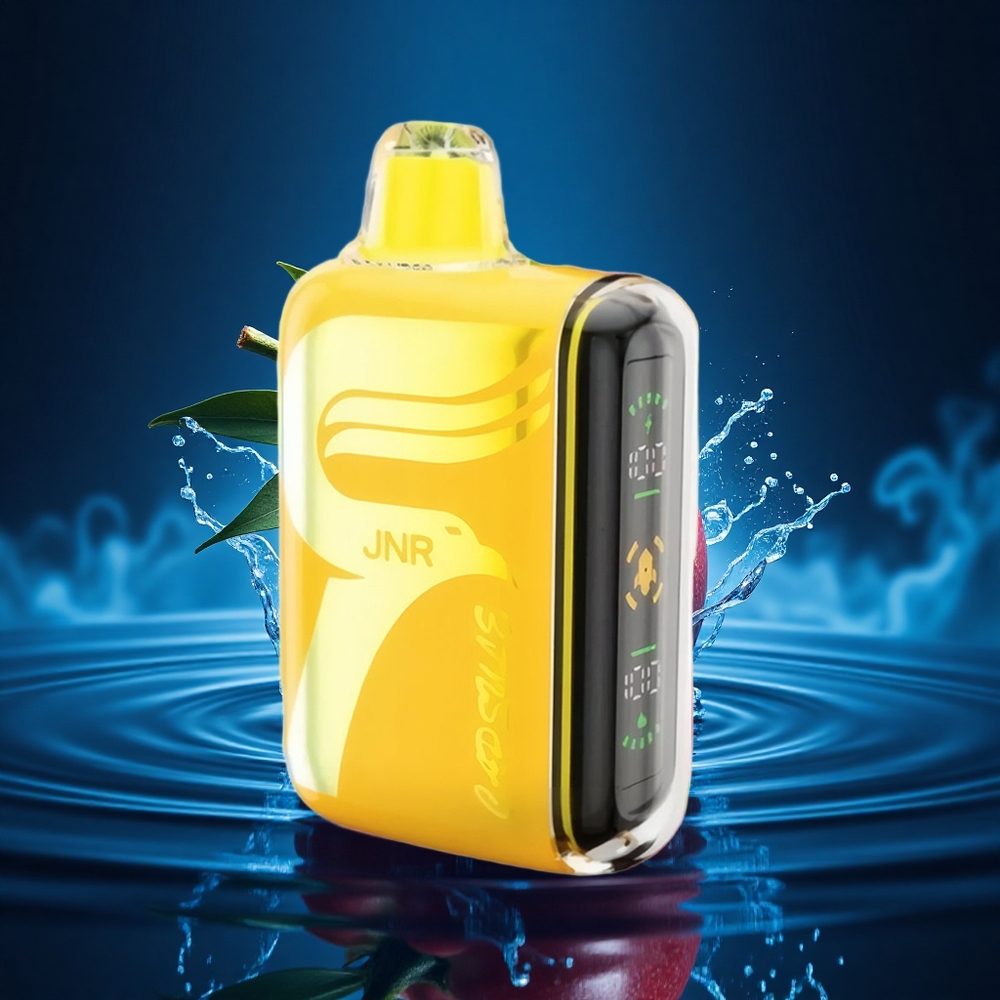JNR Capsule 15000 Golpe Taópico Dual Carga Rápida