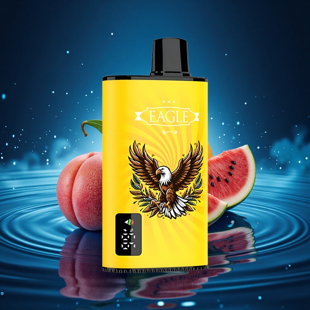 JNR EAGLE Smart 23000 Melocotón Mango Sandía Pantalla Digital Bobina Malla 1.0ohm
