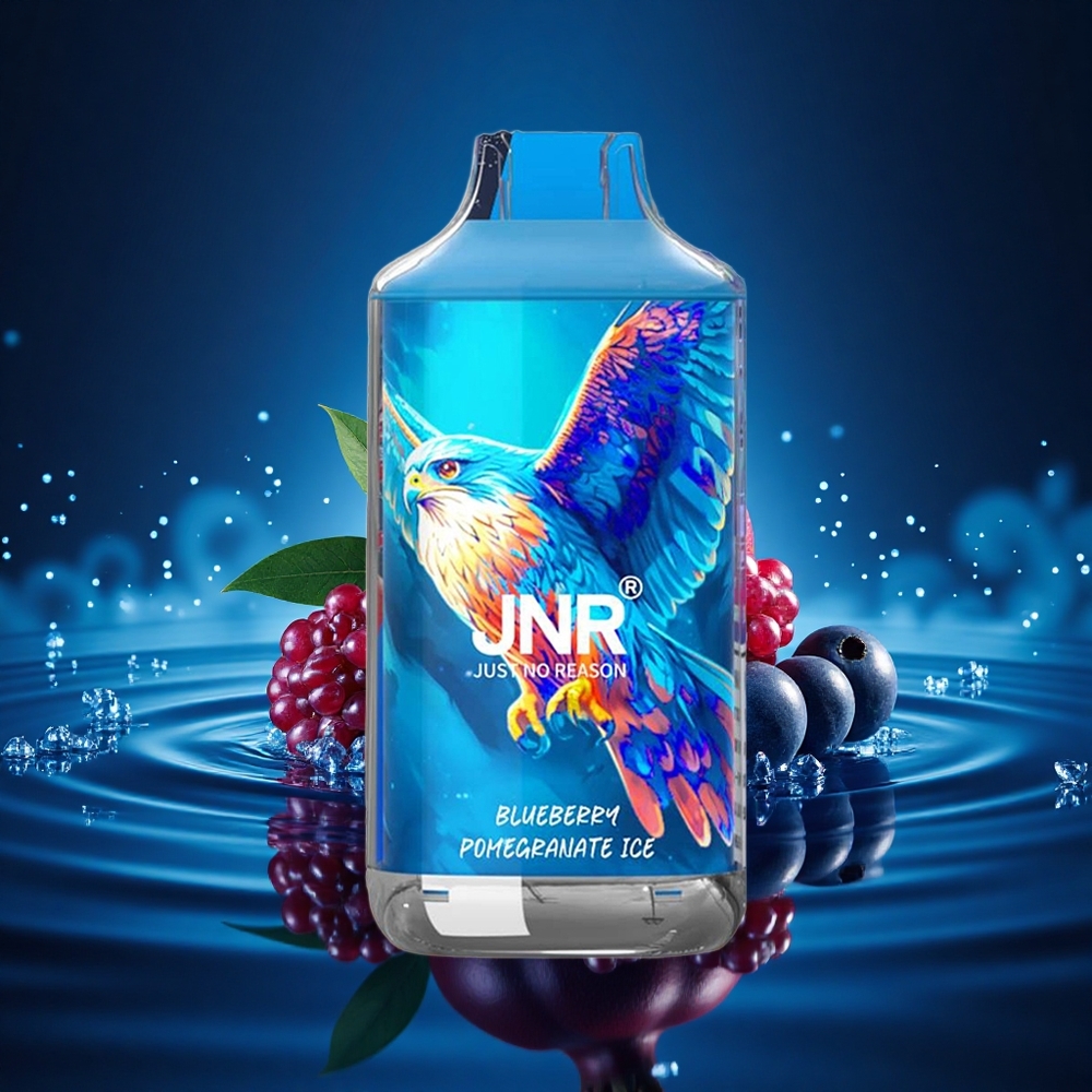 JNR Falcon 16000 Helado de Arándano y Granada con 22ml y Doble Malla