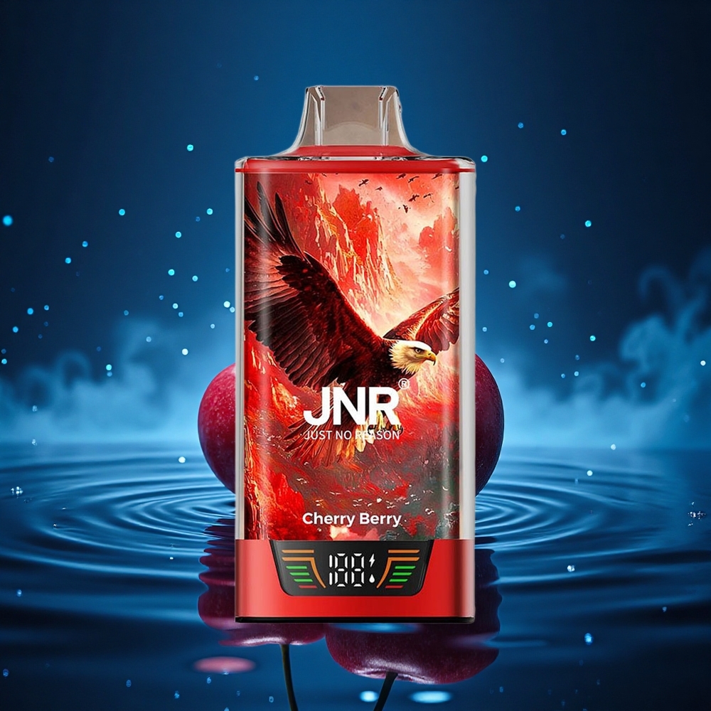 JNR Falcon Pro 28000 Cereza Baya Dual Carga Rápida Pantalla Inteligente