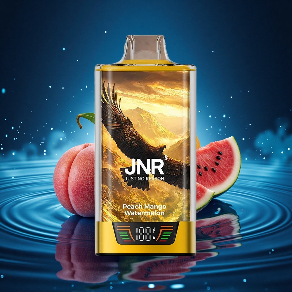 JNR Falcon Pro 28000 Melocotón Mango Sandía 30ml Dual Mesh