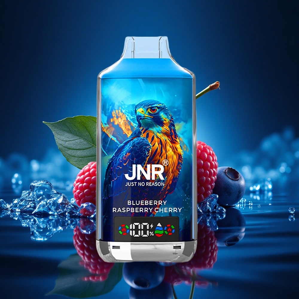 JNR Falcon X 18000 Arándano Frambuesa Cereza 24ml Dual Mesh Tipo-C