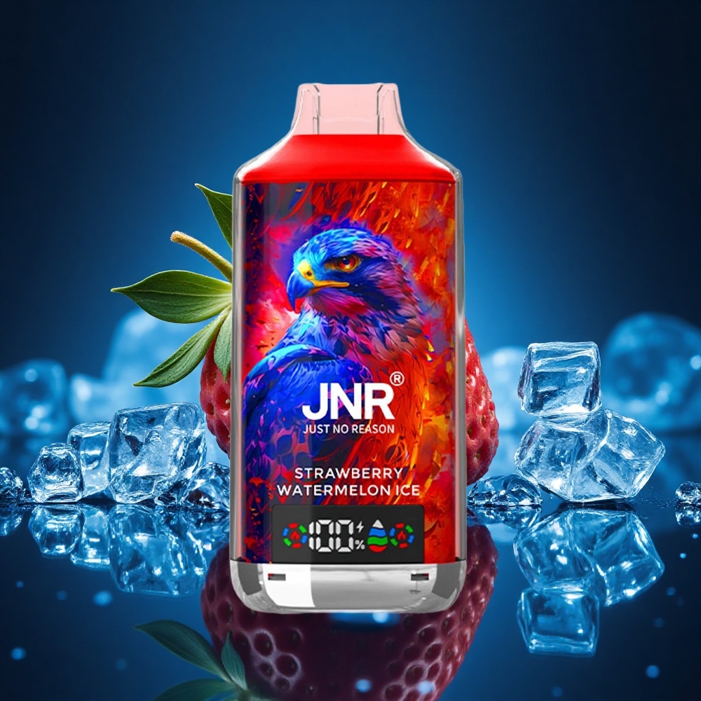 JNR Falcon X 18000 Fresa Sandía Hielo con 24ml y Doble Malla