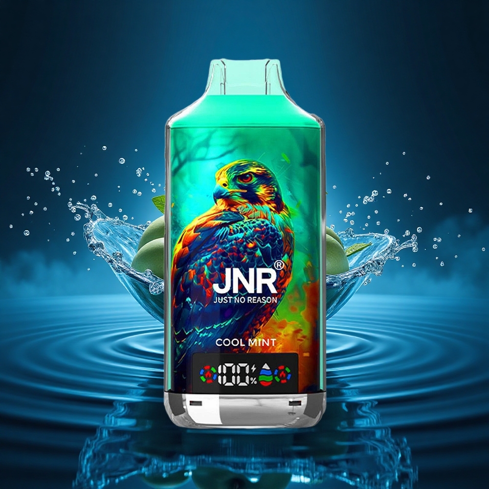 JNR Falcon X 18000 Menta Fresca 750mAh Dual Mesh Digital Tipo-C