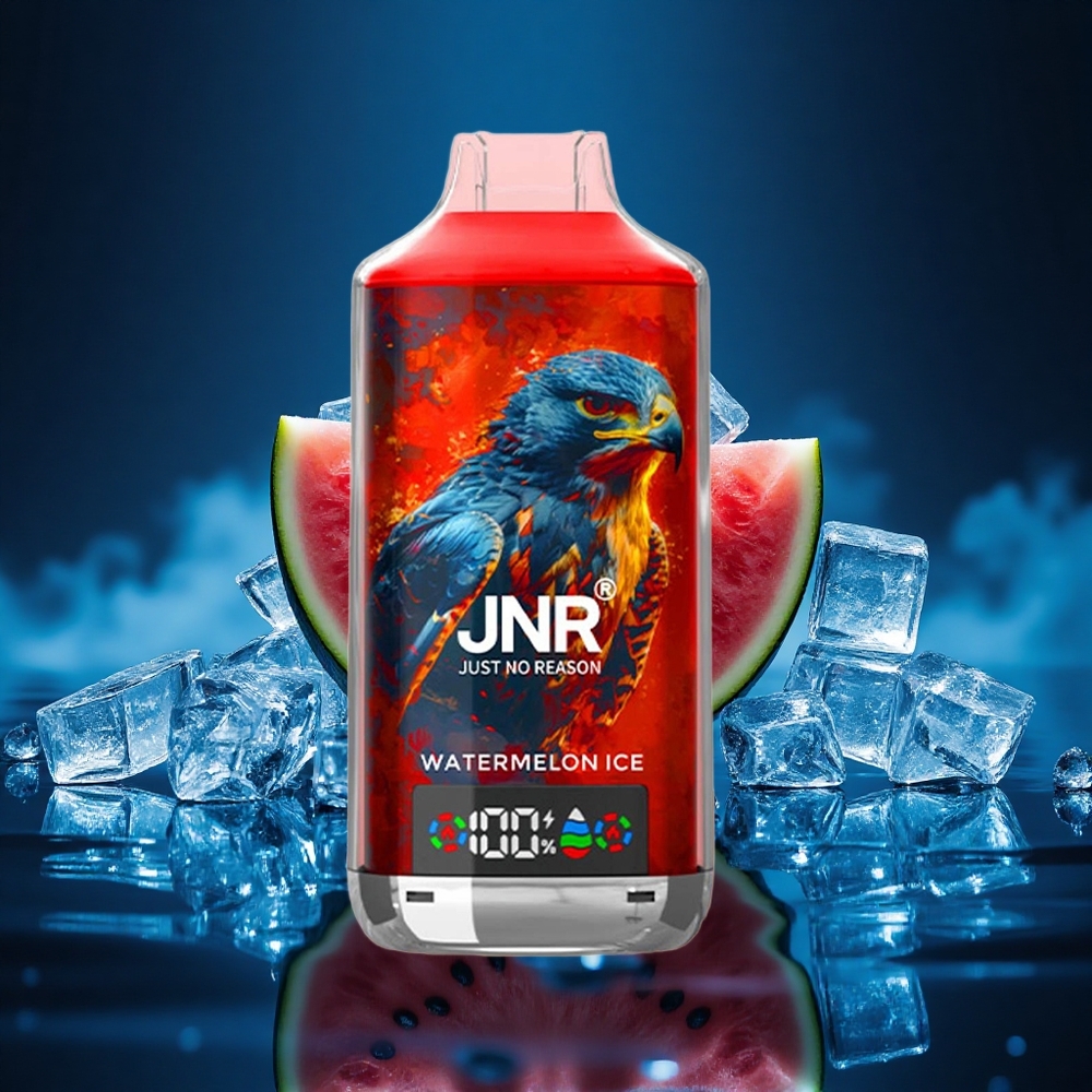 JNR Falcon X 18000 Sandía Helada X 24ml Dual Mesh 750mAh Tipo-C