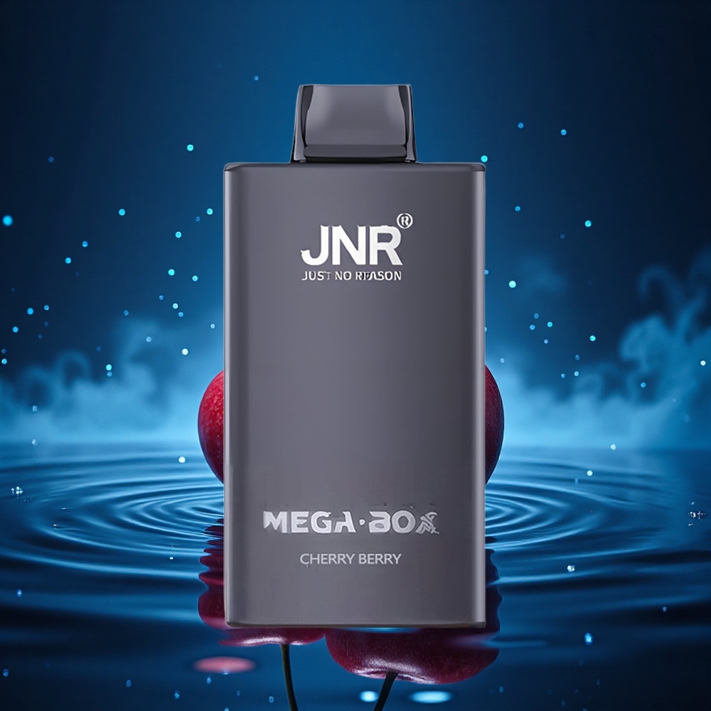 JNR Mega Box 25000 Cereza Baya Doble Núcleo Carga Rápida