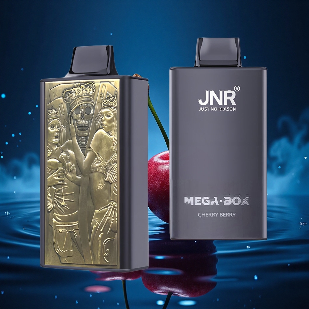 JNR Mega Box 25000 Cereza Baya Doble Núcleo Carga Rápida