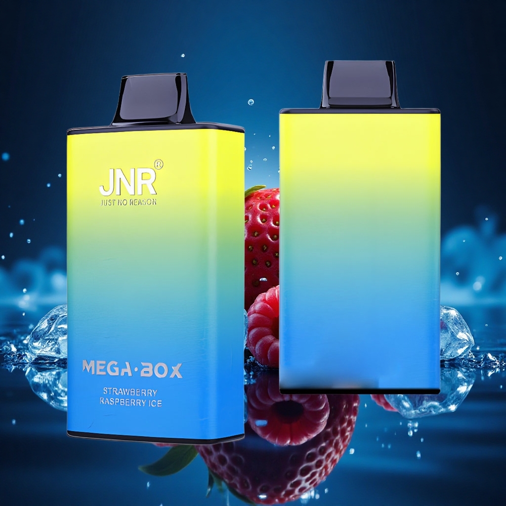 JNR Mega Box 25000 Fresa Frambuesa Hielo Dual Mesh Tipo-C