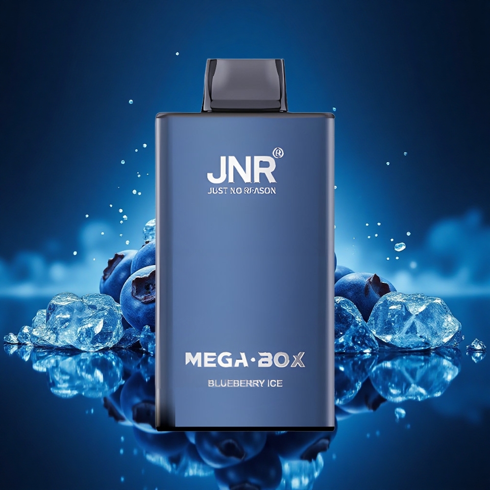 JNR Mega Box 25000 Helado de Arándano Dual Mesh Carga Rápida