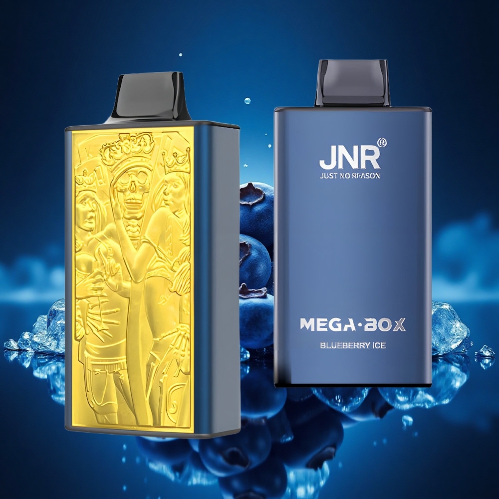 JNR Mega Box 25000 Helado de Arándano Dual Mesh Carga Rápida