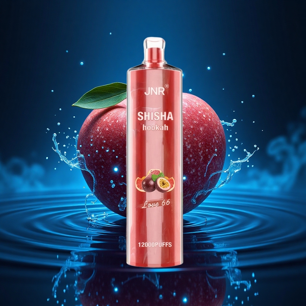 JNR Shisha Hookah 12000 Amor 66 – 24ml 750mAh Carga Rápida