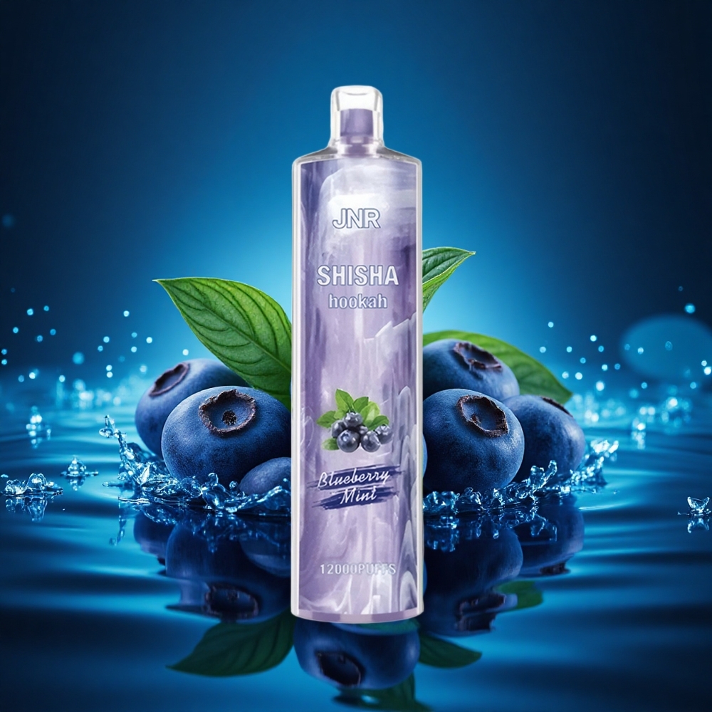 JNR Shisha Hookah 12000 Menta de Arándano 24ml 750mAh