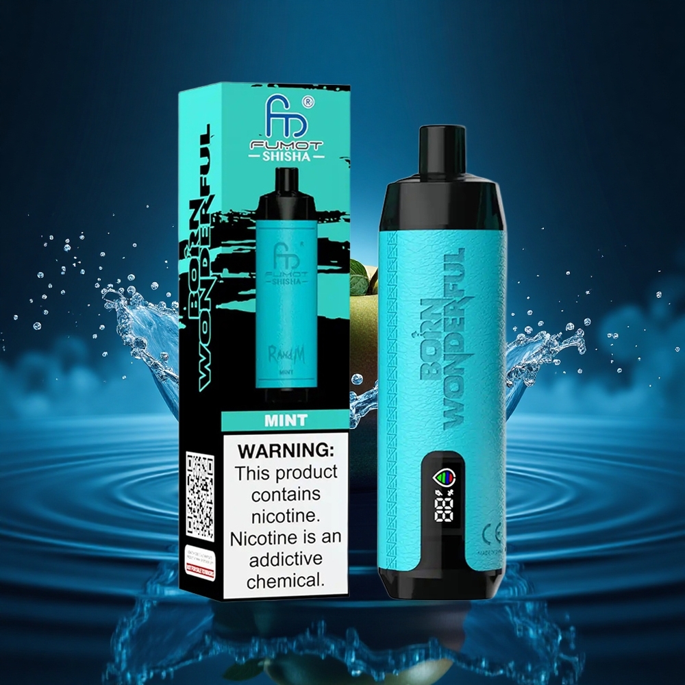 RandM Fumot Shisha 10000 Puffs Mentolado Indicador LED 18ml Tipo-C