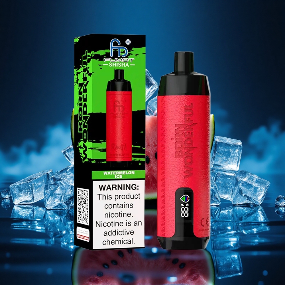 RandM Fumot Shisha 10000 Puffs Sandía Hielo con LED y Tipo-C