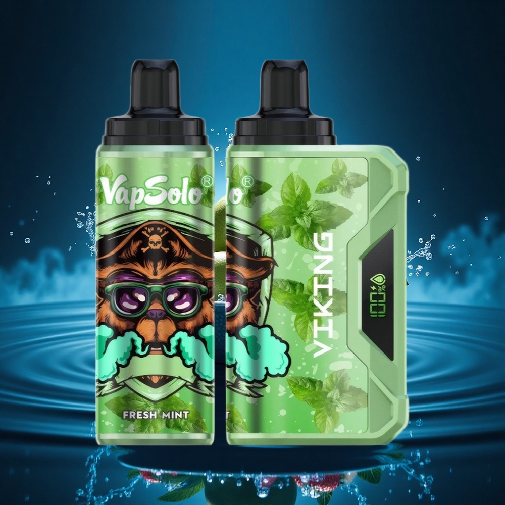 VapSolo VIKING 12000 Puffs Menta Fresca Tipo-C 22ml